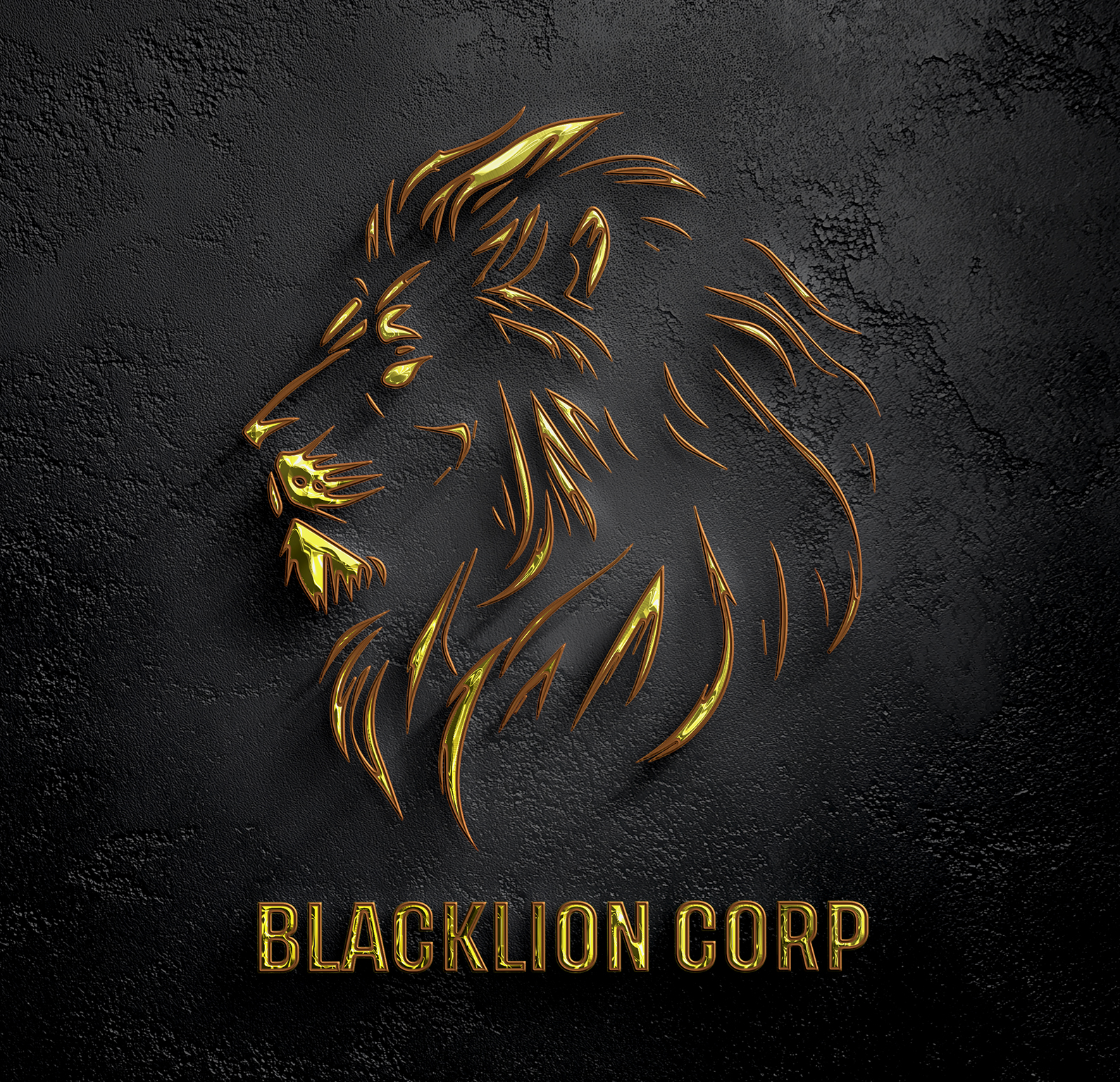BlackLion Corp Office
